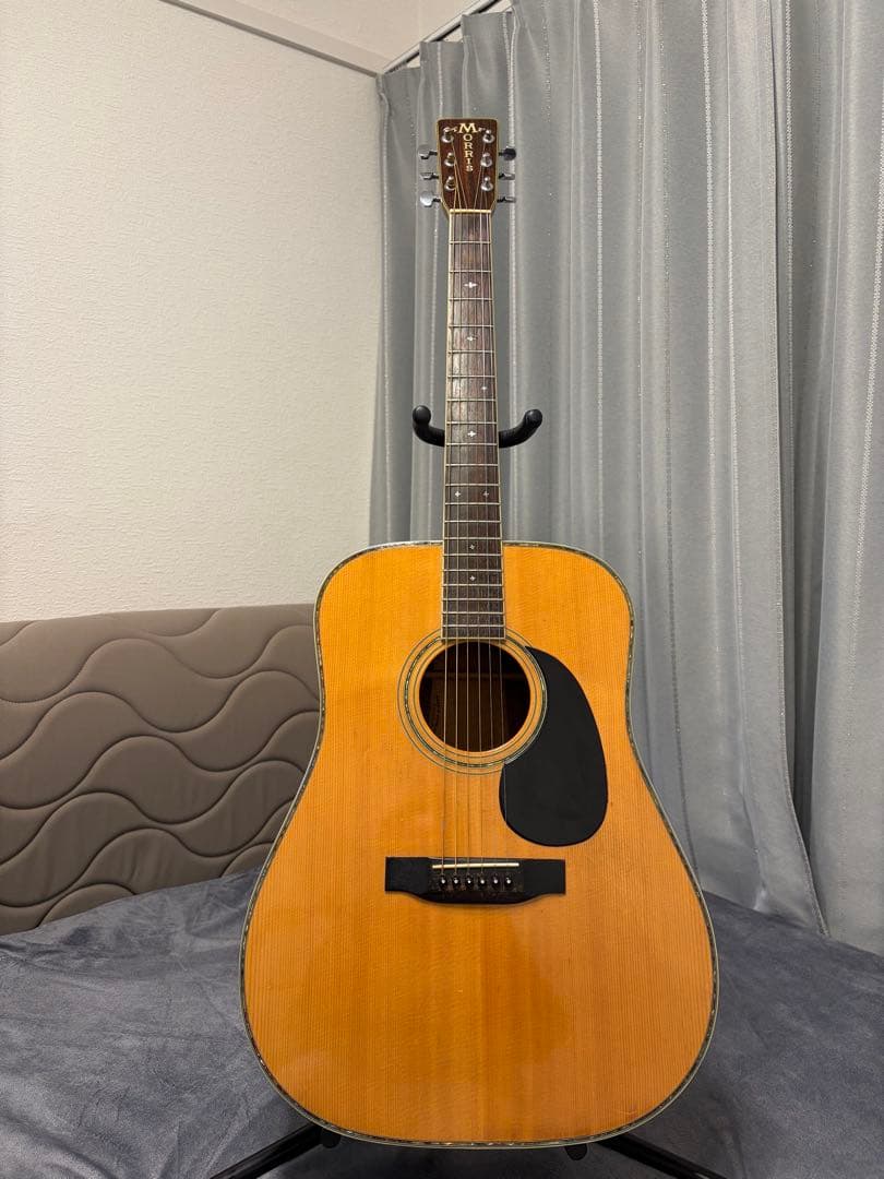 Morris W-50 アコースティックギター SPECIALジャパンヴィン