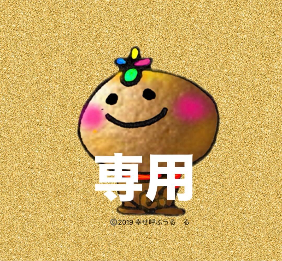 専用