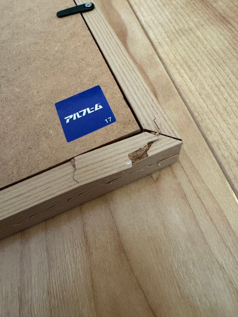 額装済み \"FOLLOW YOUR DREAMS\" リカルドゴンザレス ポスター