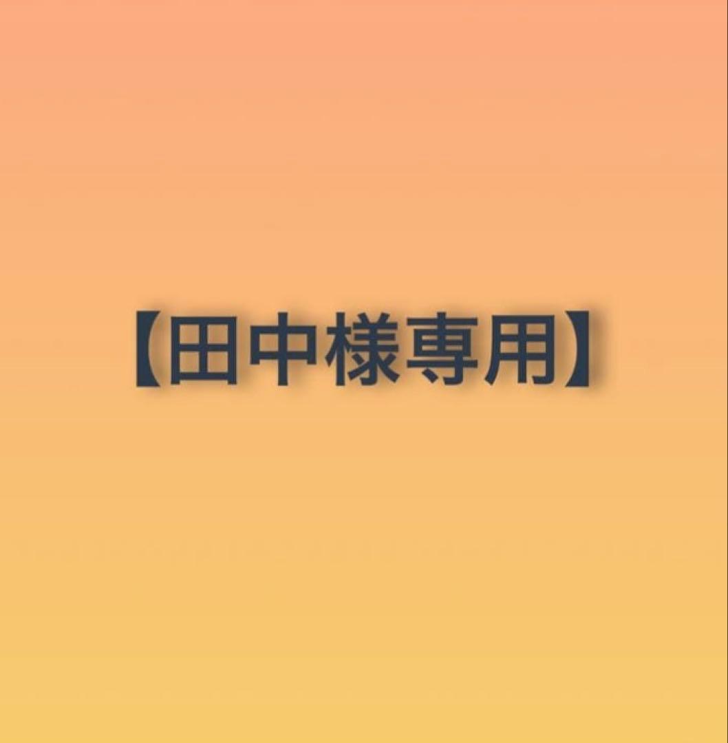 田中フィギュア