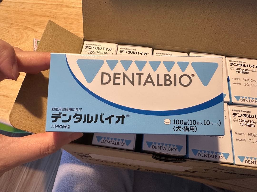 DENTALBIO デンタルバイオ 100枚入り×10箱