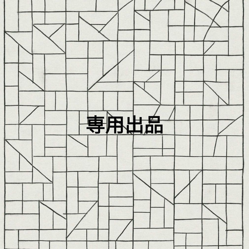専用出品