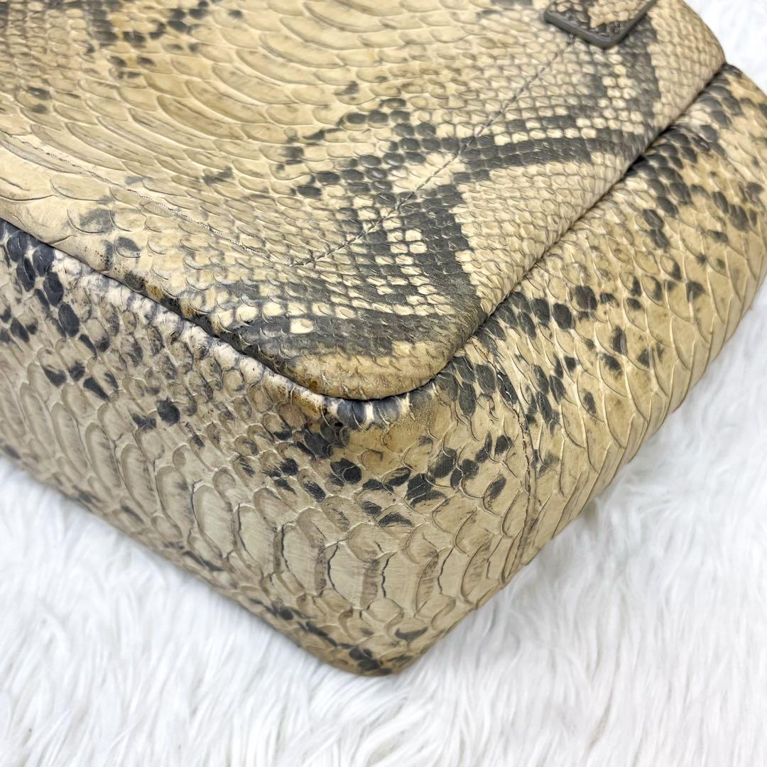 超希少 ティファニー ハンドバッグ リアルパイソンレザー ロゴ金具