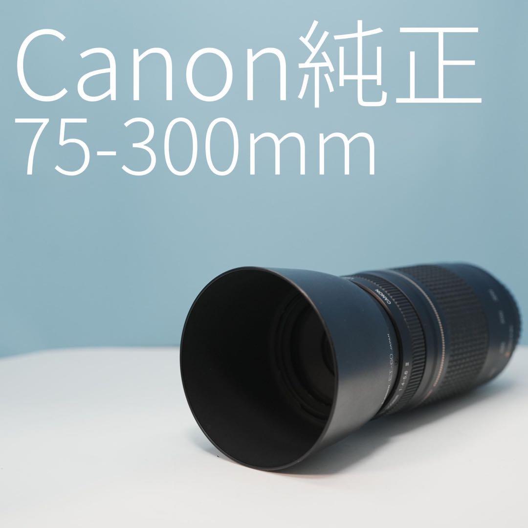 Canon純正 75-300mm 望遠レンズ a3115
