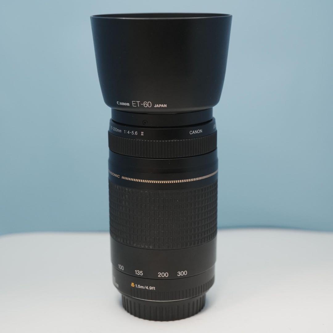 Canon純正 75-300mm 望遠レンズ a3115