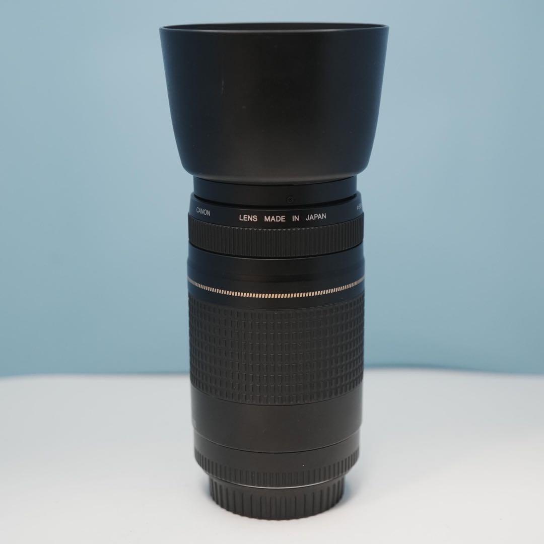 Canon純正 75-300mm 望遠レンズ a3115