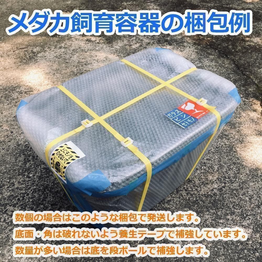 メダカ飼育ケース 36㍑x5個（4色あり） オーバーフロー付 金魚飼育容器 越冬