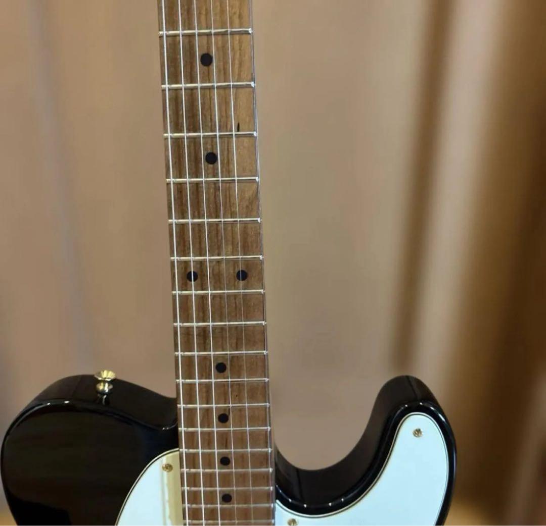 Bacchus universe テレキャスター P90タイプ ゴールドパーツ