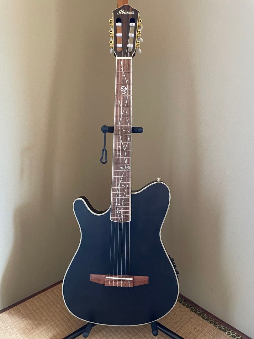 Ibanez TOD10NL-TKF ケース付き