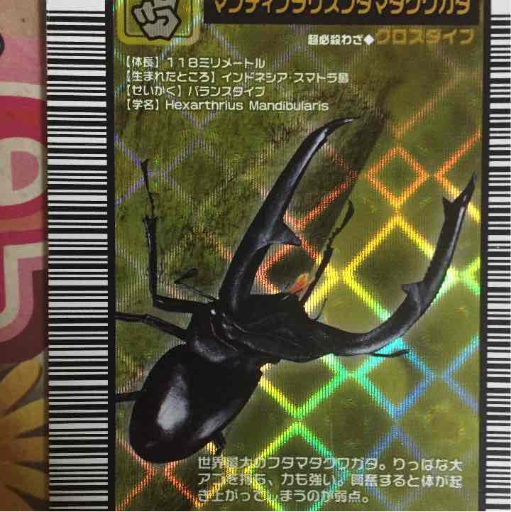 旧ムシキング