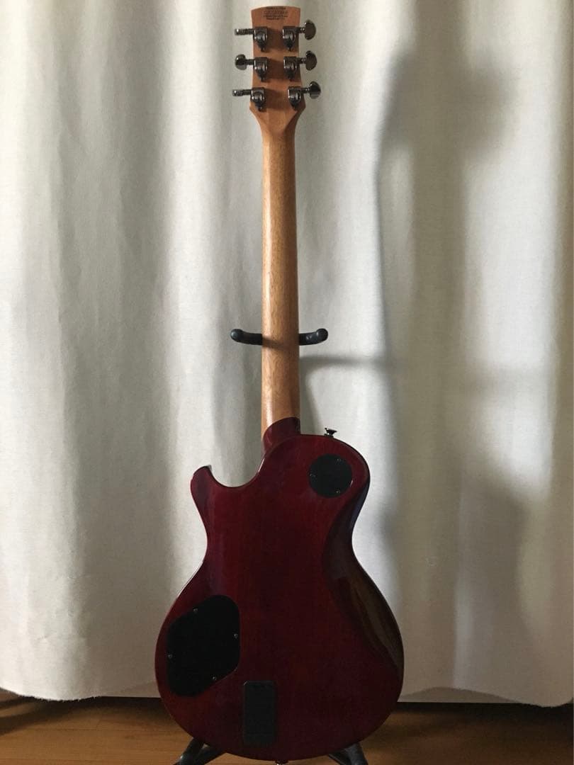 ギター Charvel DS-2ST DESOLATION