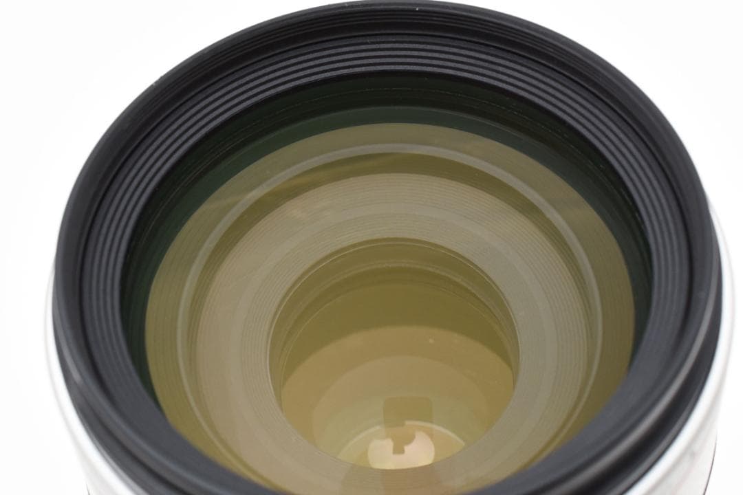 Canon EF 100-400mm Ｆ4.5-5.6 L IS USM 772