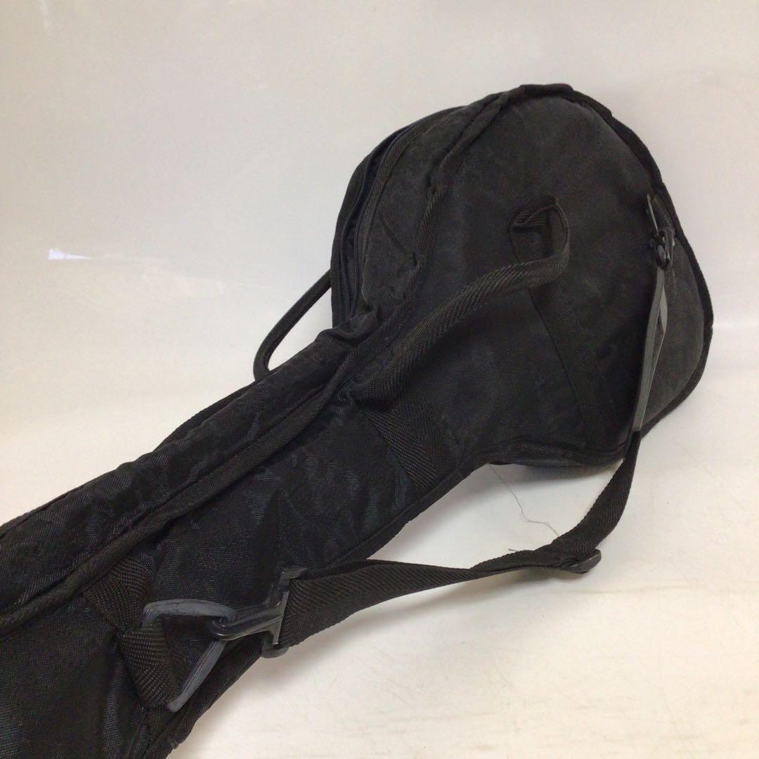 Fernandes エレキギター ミントグリーン