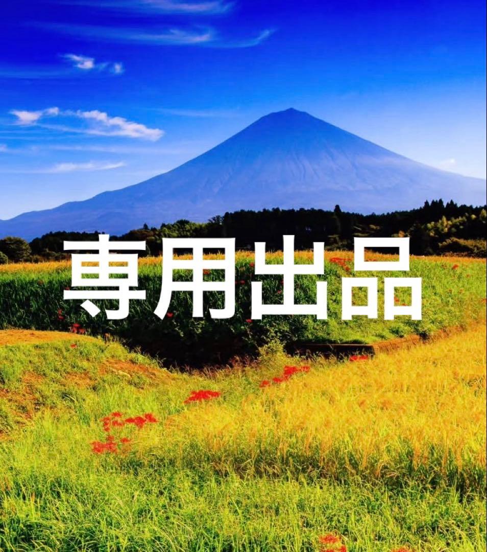 てーやん出品
