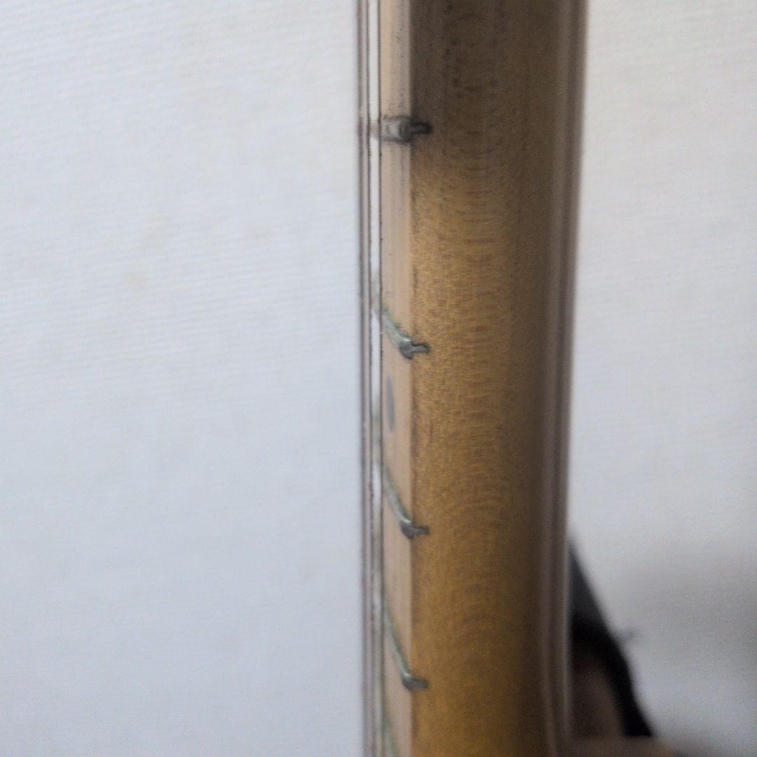 Vanzandt TLV-THINLINE 　ヴァンザント　テレキャスター