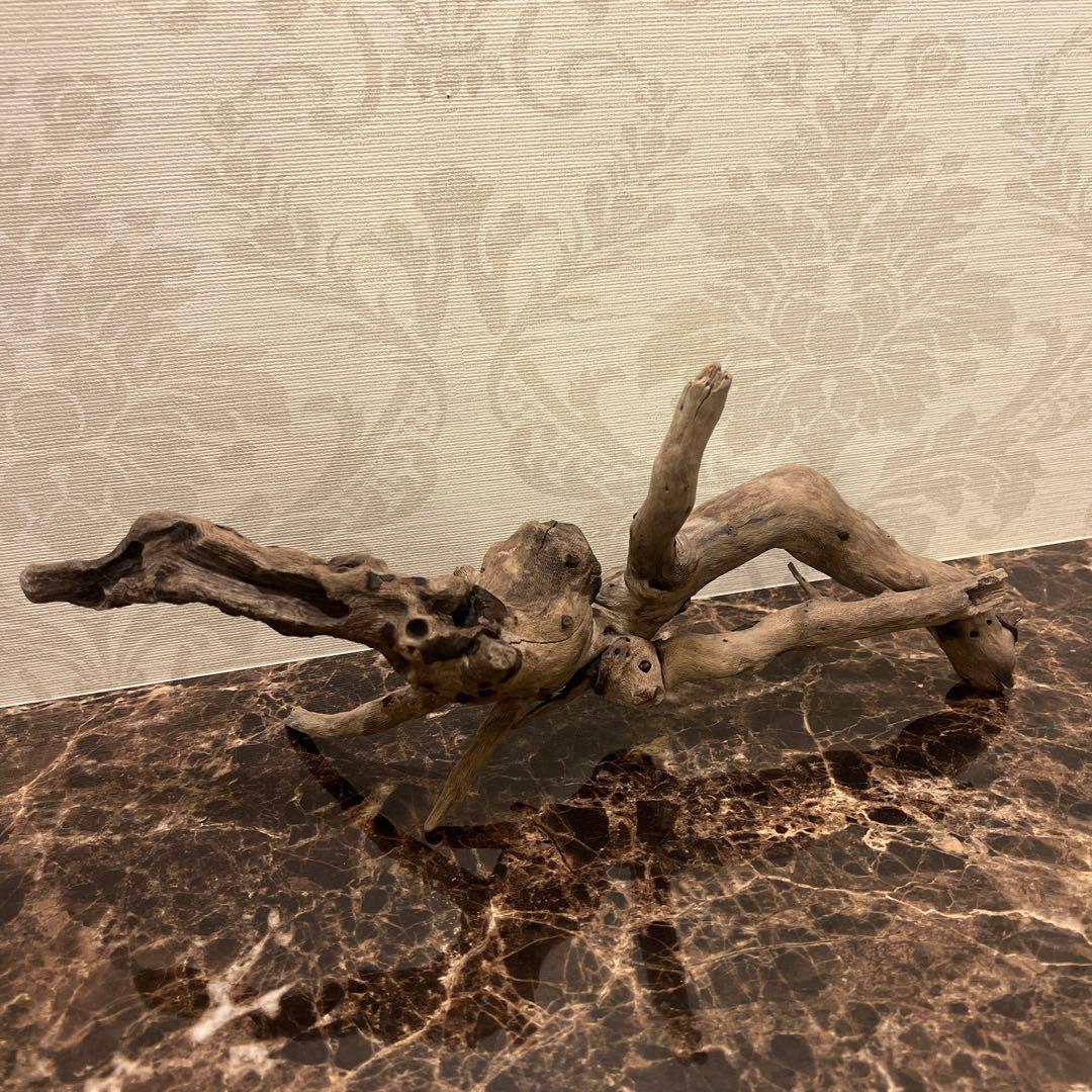 POCOS 　天然流木【17】 【53】【131】