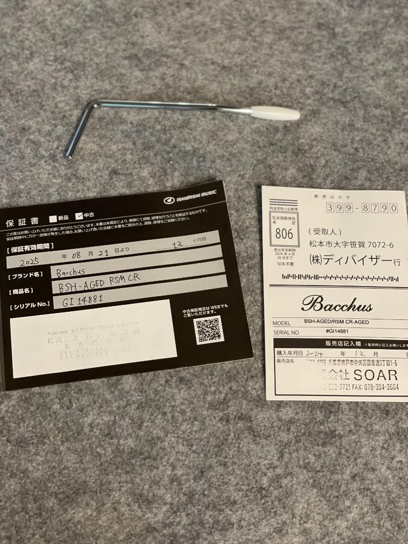 ドラゴンマンさん。Bacchus BSH-AGED, RSM/CR エレキギター
