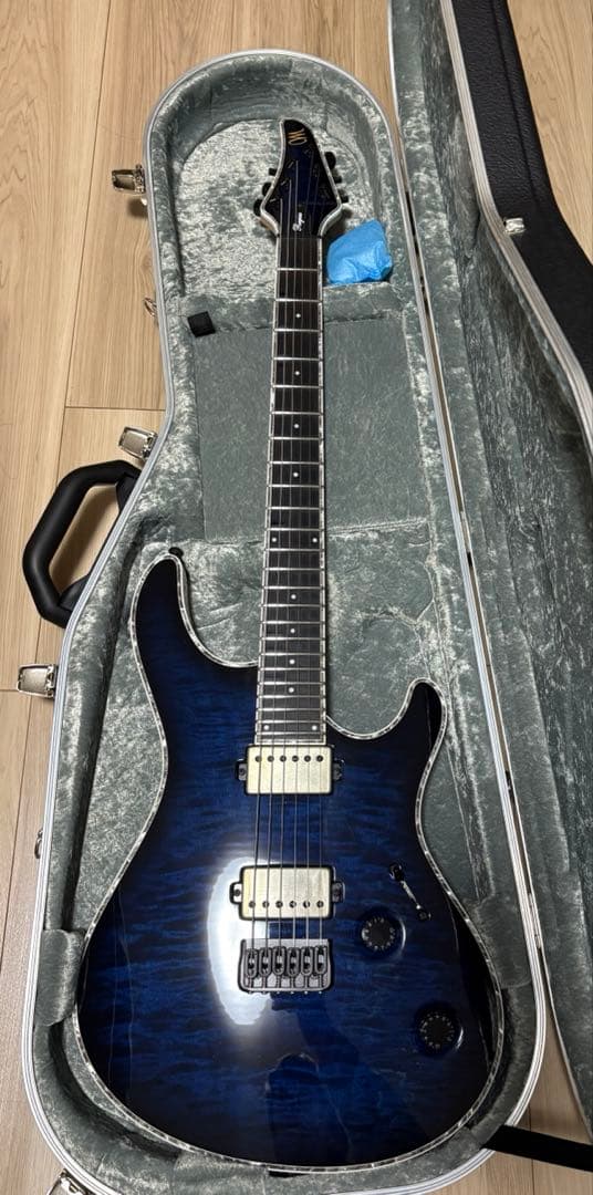 ギター mayones regius 6