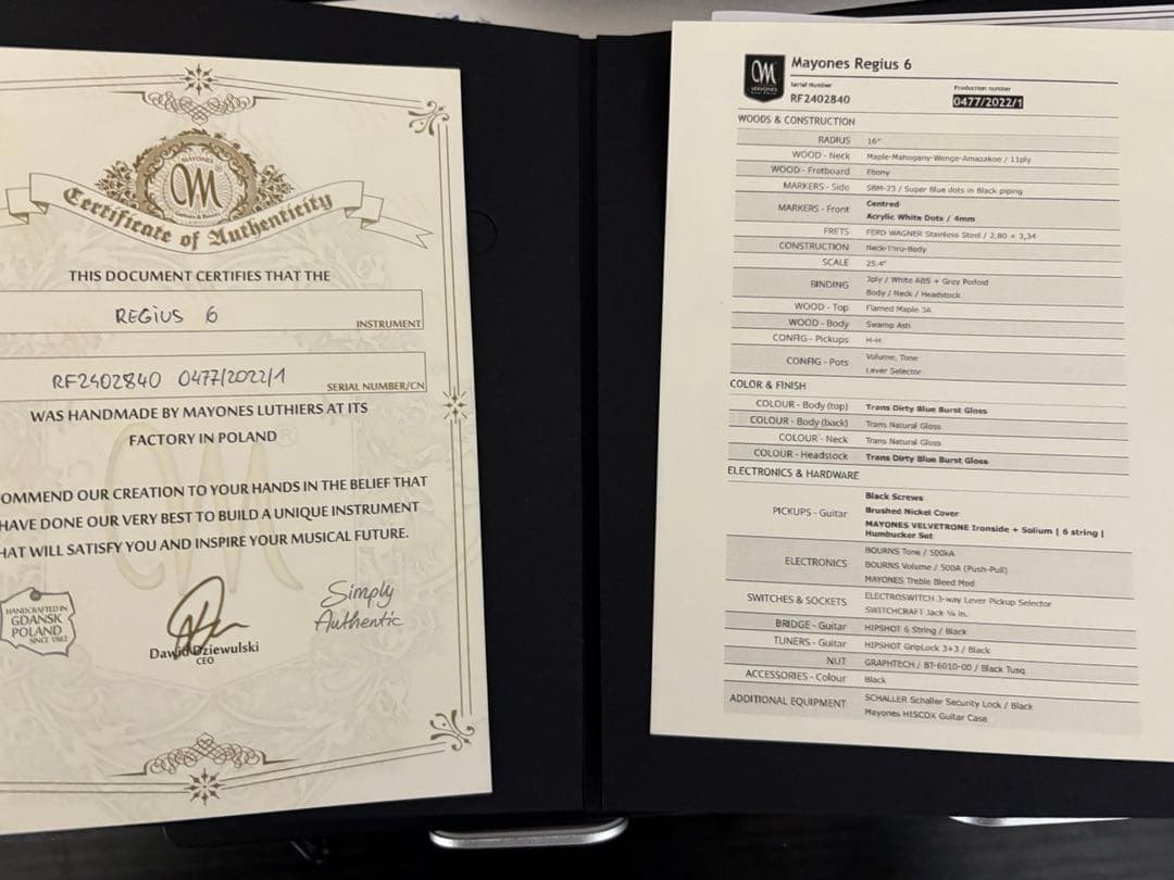 ギター mayones regius 6