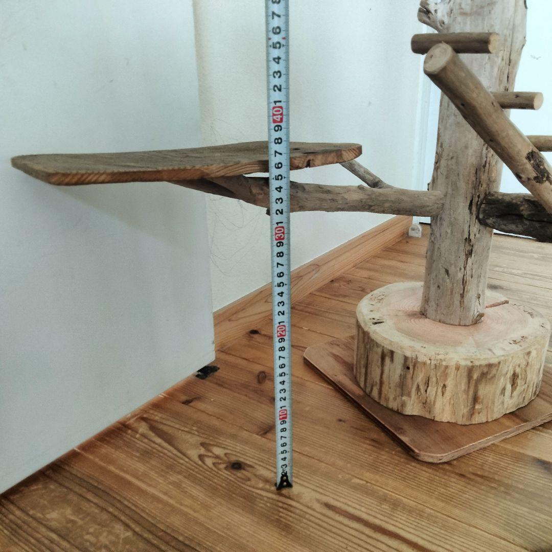 ひげ バードアスレチックジム  大型 天然木 自然木  止まり木