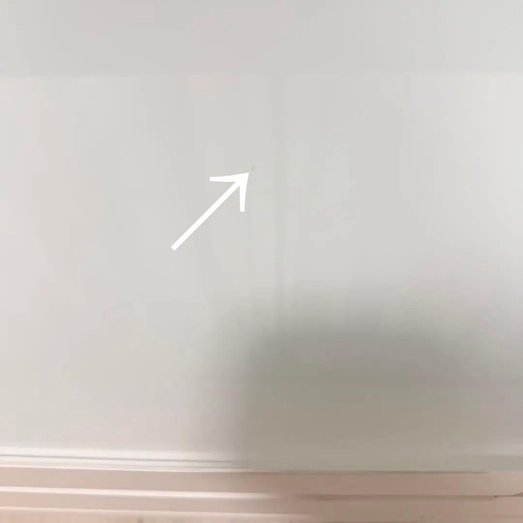 むささび