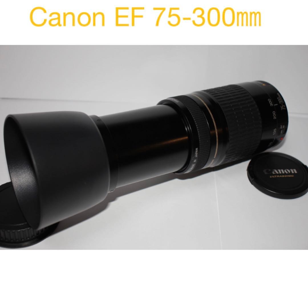 人気の300mm☆CANON EF 75-300mm F4-5.6