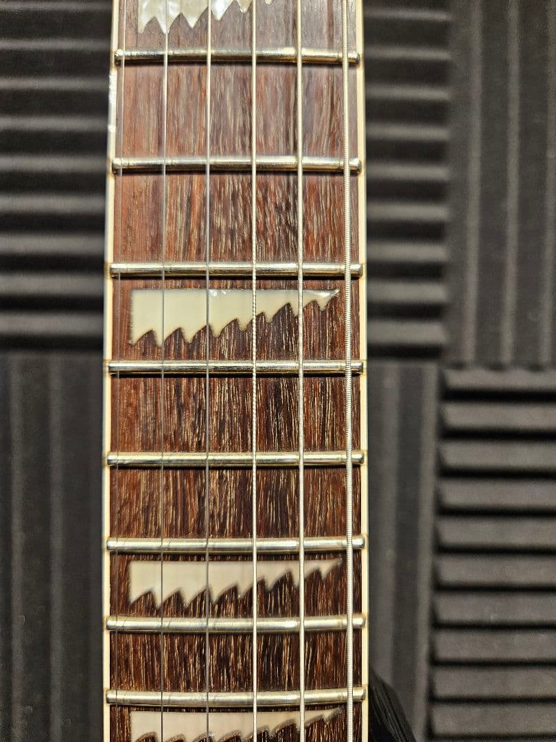 ESP LTD Alexi 200 Alexi Laiho レフティー　左