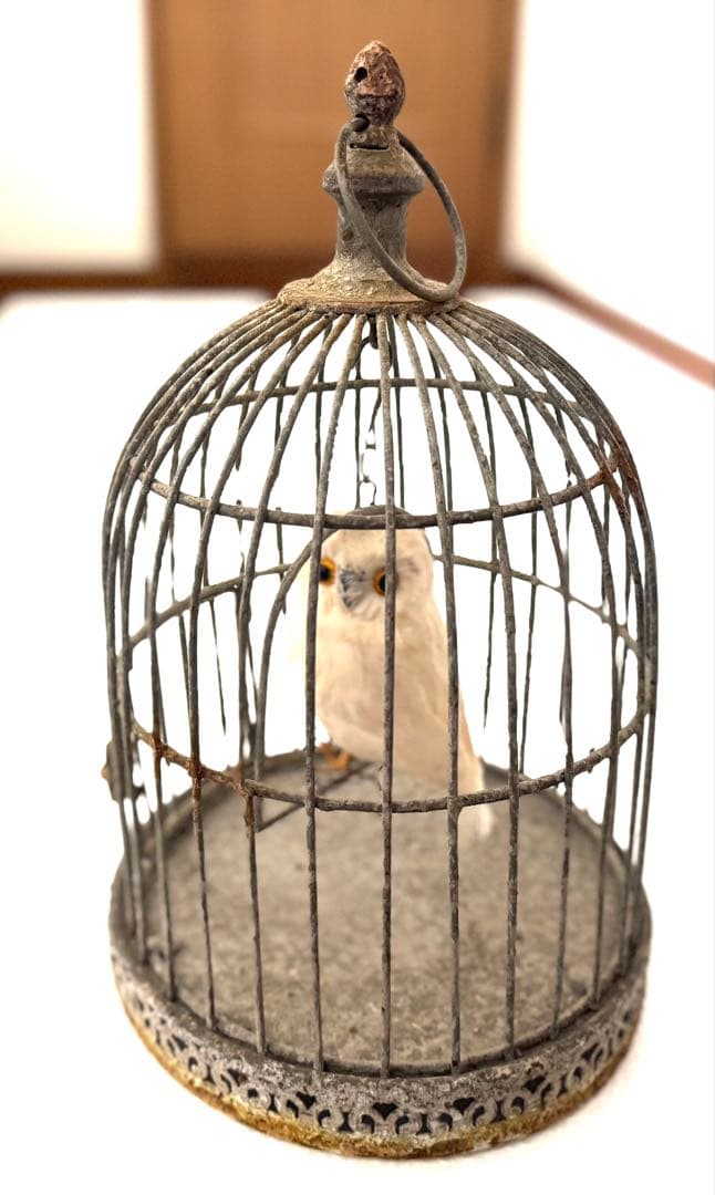 アンティーク鳥カゴオブジェ フクロウオブジェ付 undercover