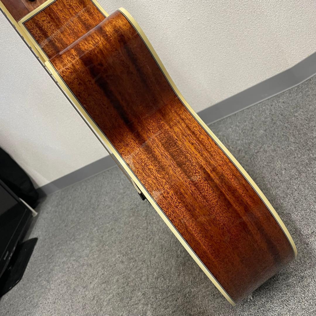 EYS Maneuver EAG01-041 アコギ 音楽教室オリジナル