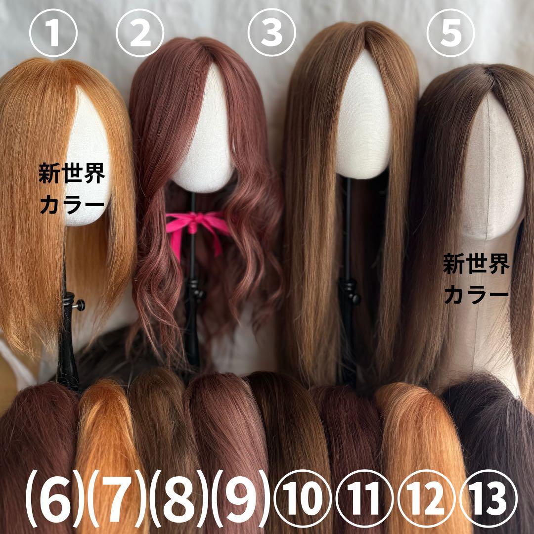 2026新世界　人毛　ウィッグ　フルウィッグ　シルクスキン　医療ウィッグ　レミー