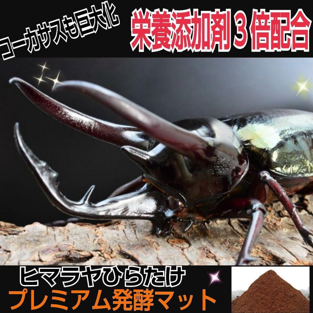 増量【80リットル】プレミアム3次発酵カブトムシマット☆特殊アミノ酸強化配合！