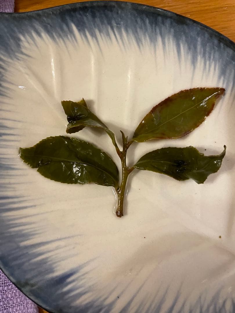 台湾好茶】頂級 大禹嶺高冷茶150g *5袋 冬茶 2024手摘み