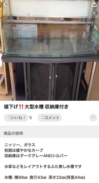 ニッソー水槽