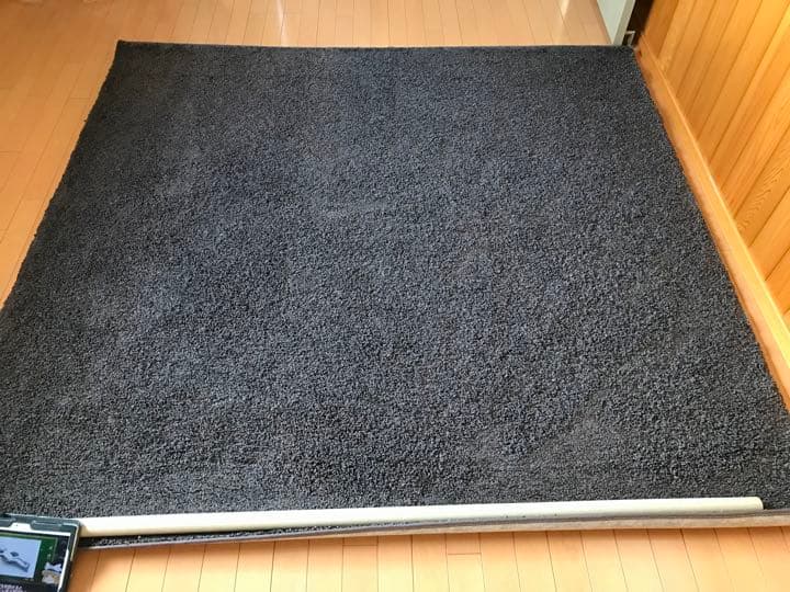 カーペット