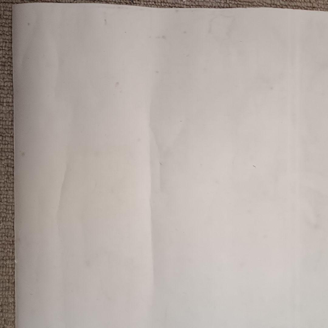 佐藤勝彦 【花 】絵画 日本画 墨彩画 印有 額サイズ約51×63cm 真作