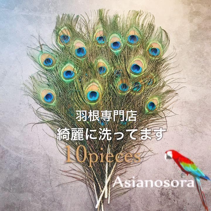 100枚■【クジャク 】孔雀の羽根 目玉 パーツ 鳥 羽根 素材