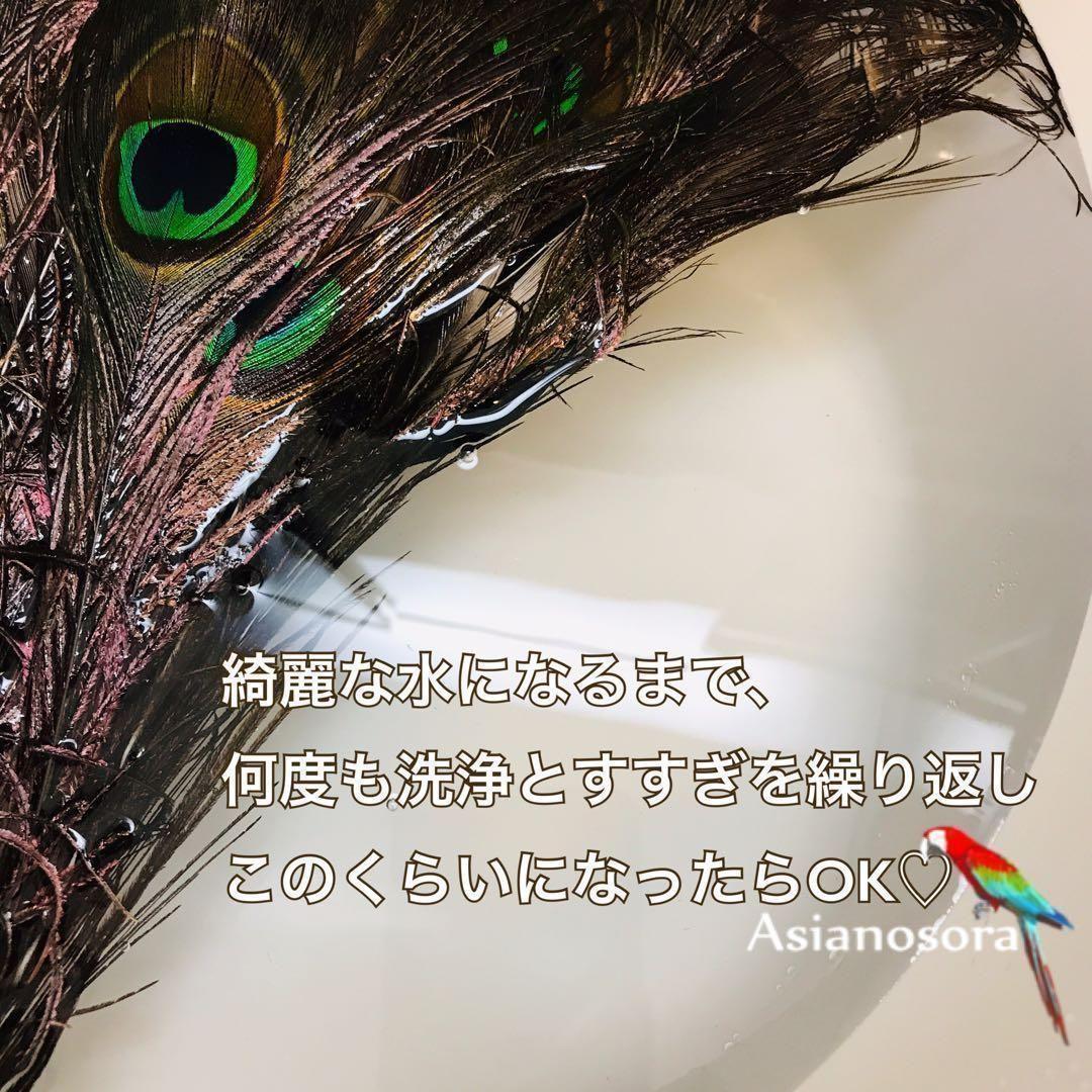 100枚■【クジャク 】孔雀の羽根 目玉 パーツ 鳥 羽根 素材