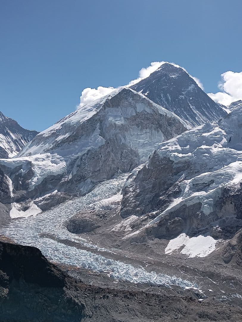 #655 アンモナイト