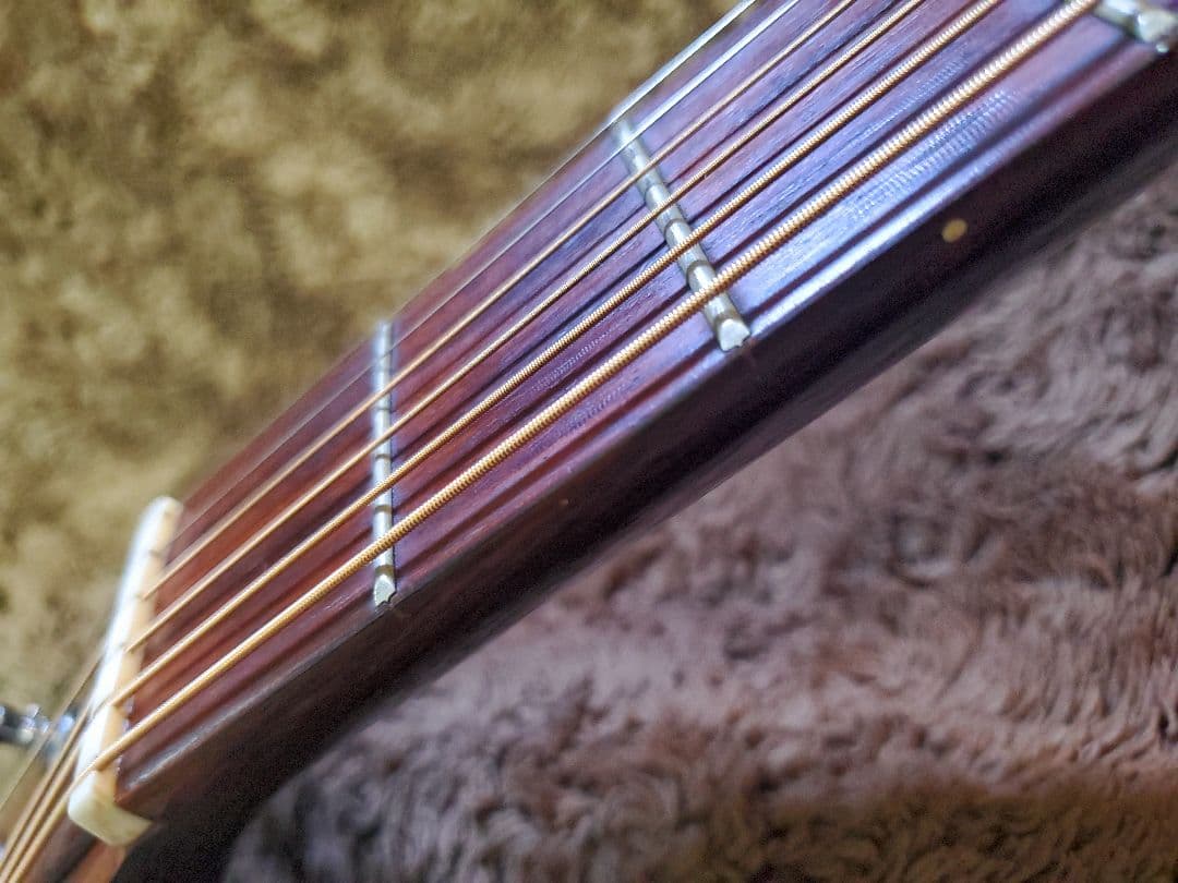 Takamine Elite TW-13 タカミネ エリートD-28 コピー