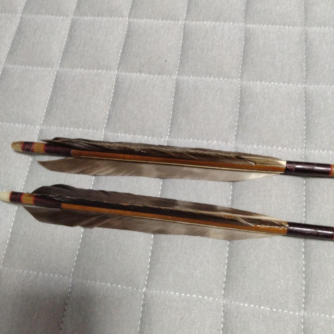 竹矢