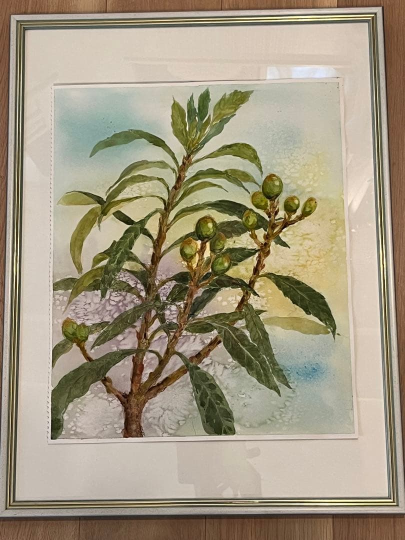 びわの木　水彩画