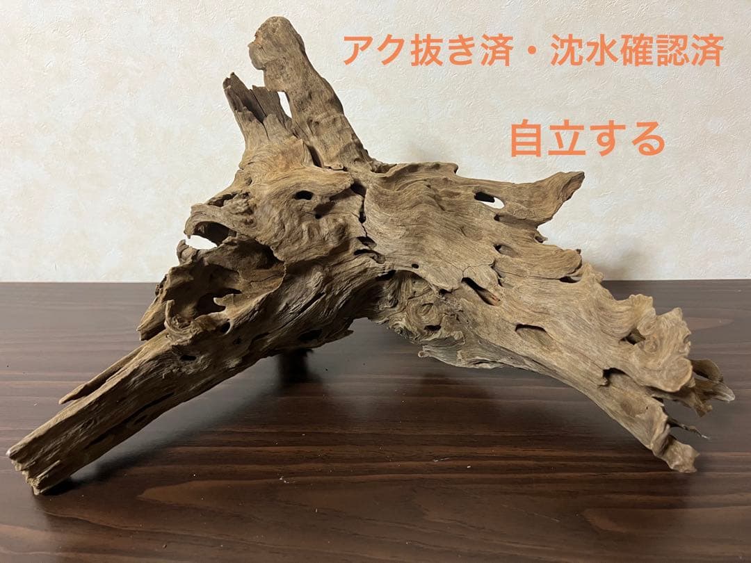 XM-197 流木　マシンガンウッド　アクアリウム　ブランチウッド　沈水確認済