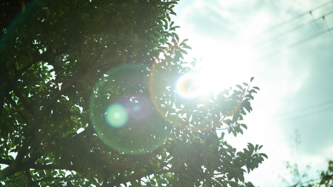 【オールドレンズ】Super Takumar 55mm f1.8 後期