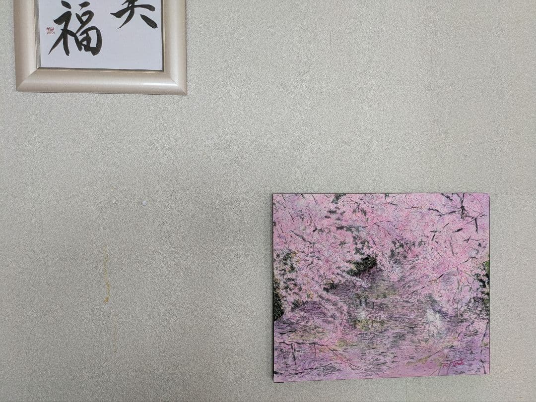 桜満開