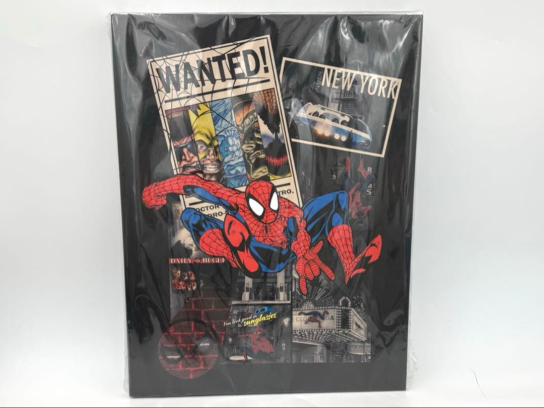 スパイダーマン　USJ ファイナル　缶バッジセット