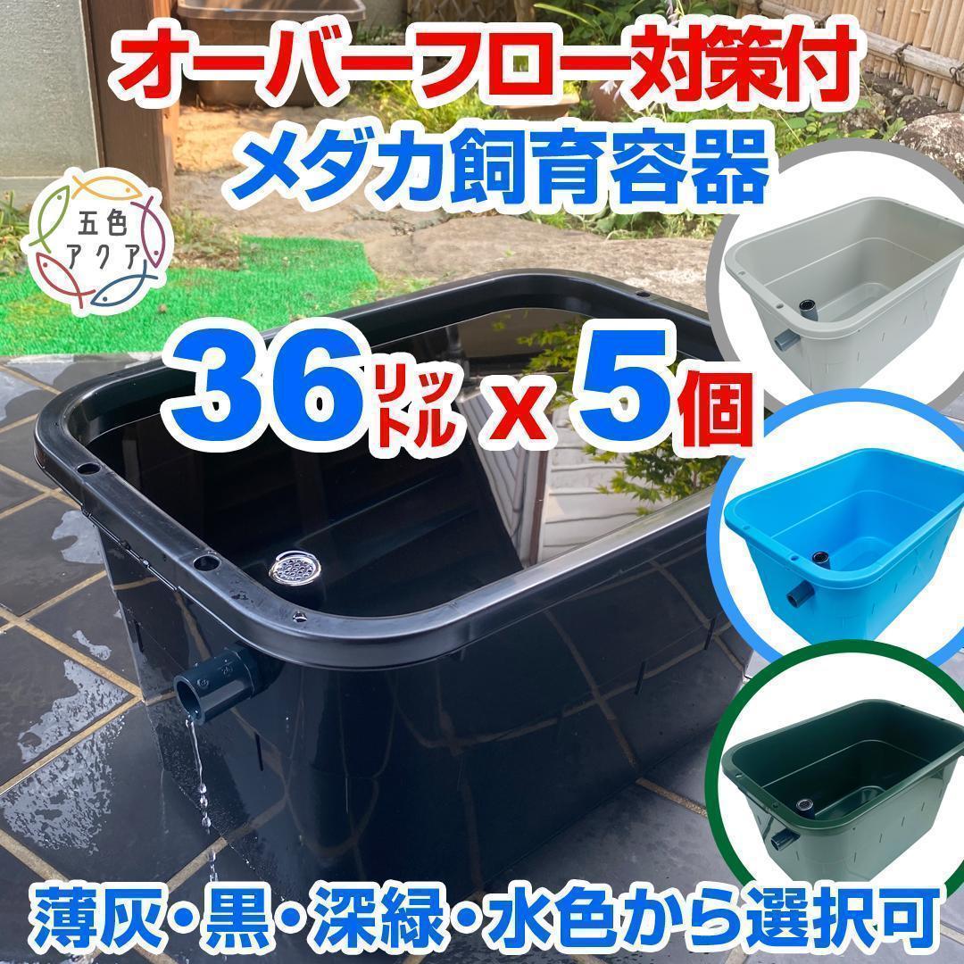 メダカ飼育ケース 36㍑x5個（4色あり） オーバーフロー めだか飼育容器 金魚