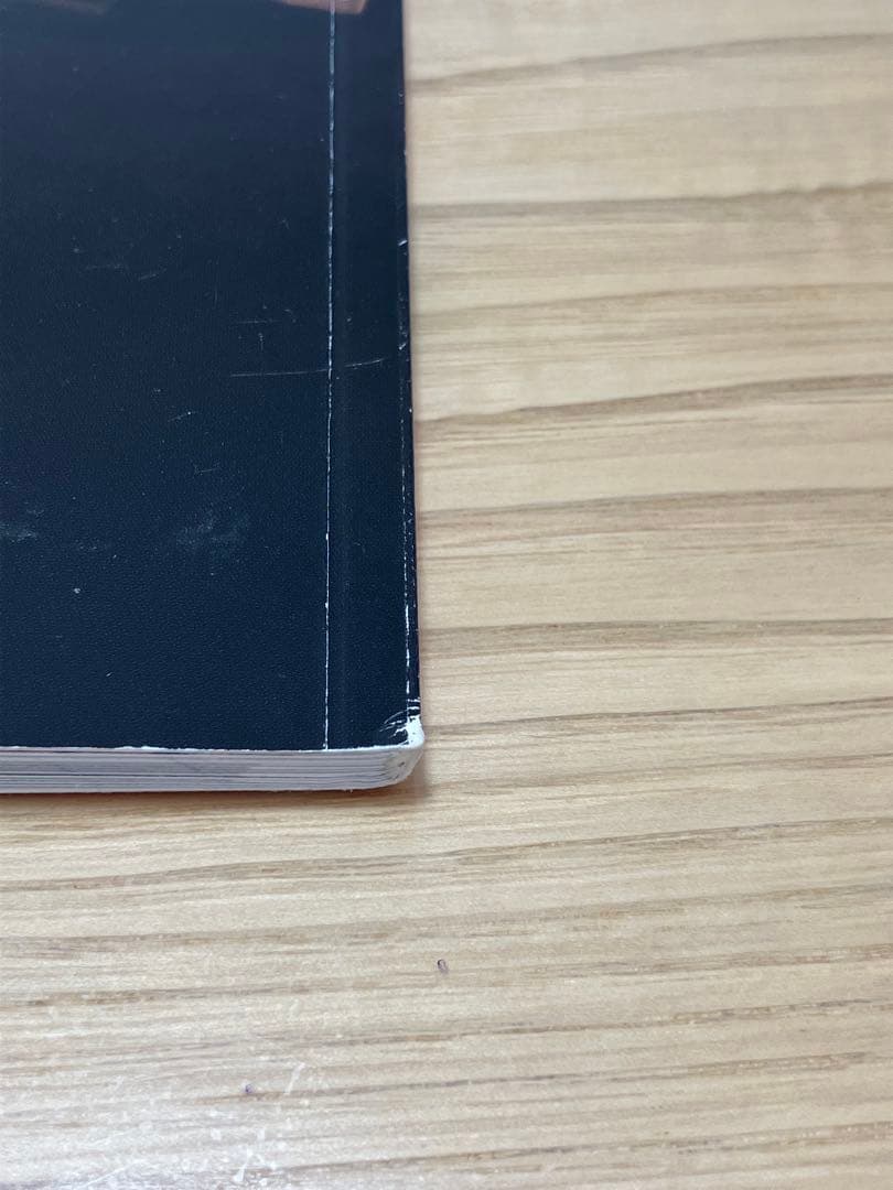 【限定】ポールマッカートニー 2013ツアータオル・パンフレット・チラシ