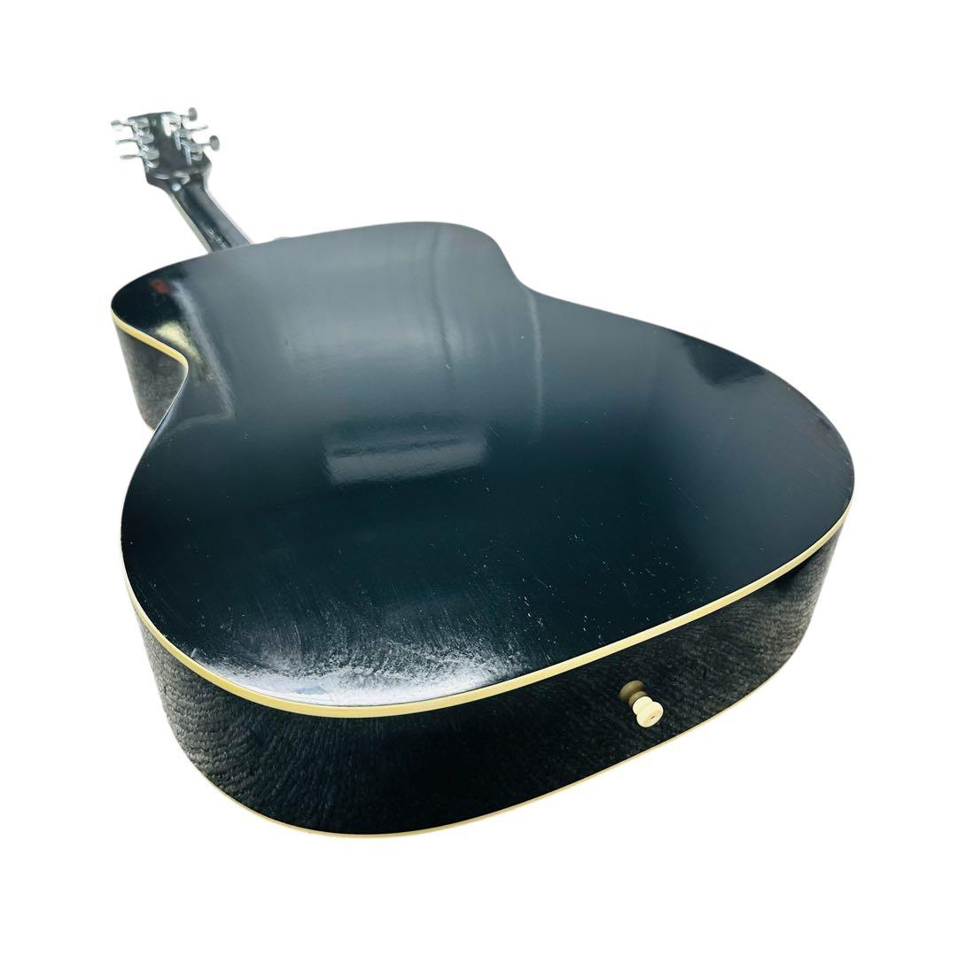 TAKAMINE タカミネ　アコースティックギター　T-F1