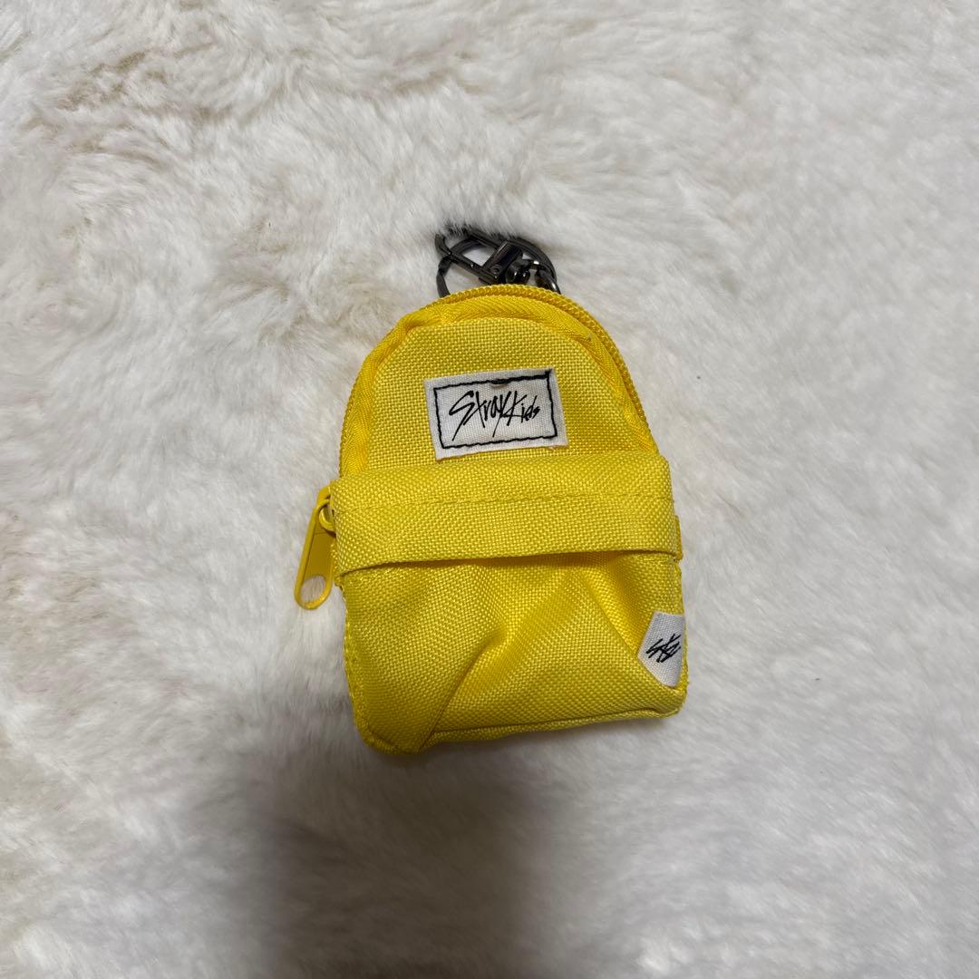StrayKids スンミン PuppyM 17点 まとめ売り