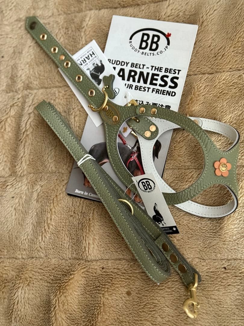 バディベルト＆リード 4.5号BUDDY BELTSセット